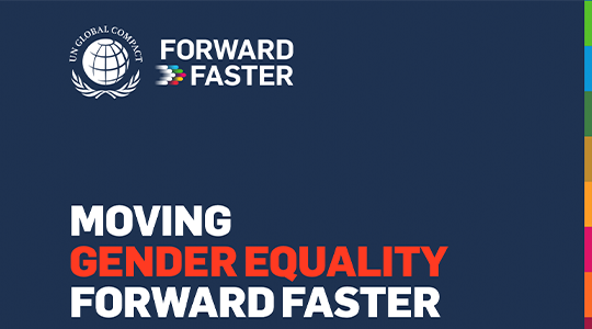 Moving Gender Equality Forward Faster Guide